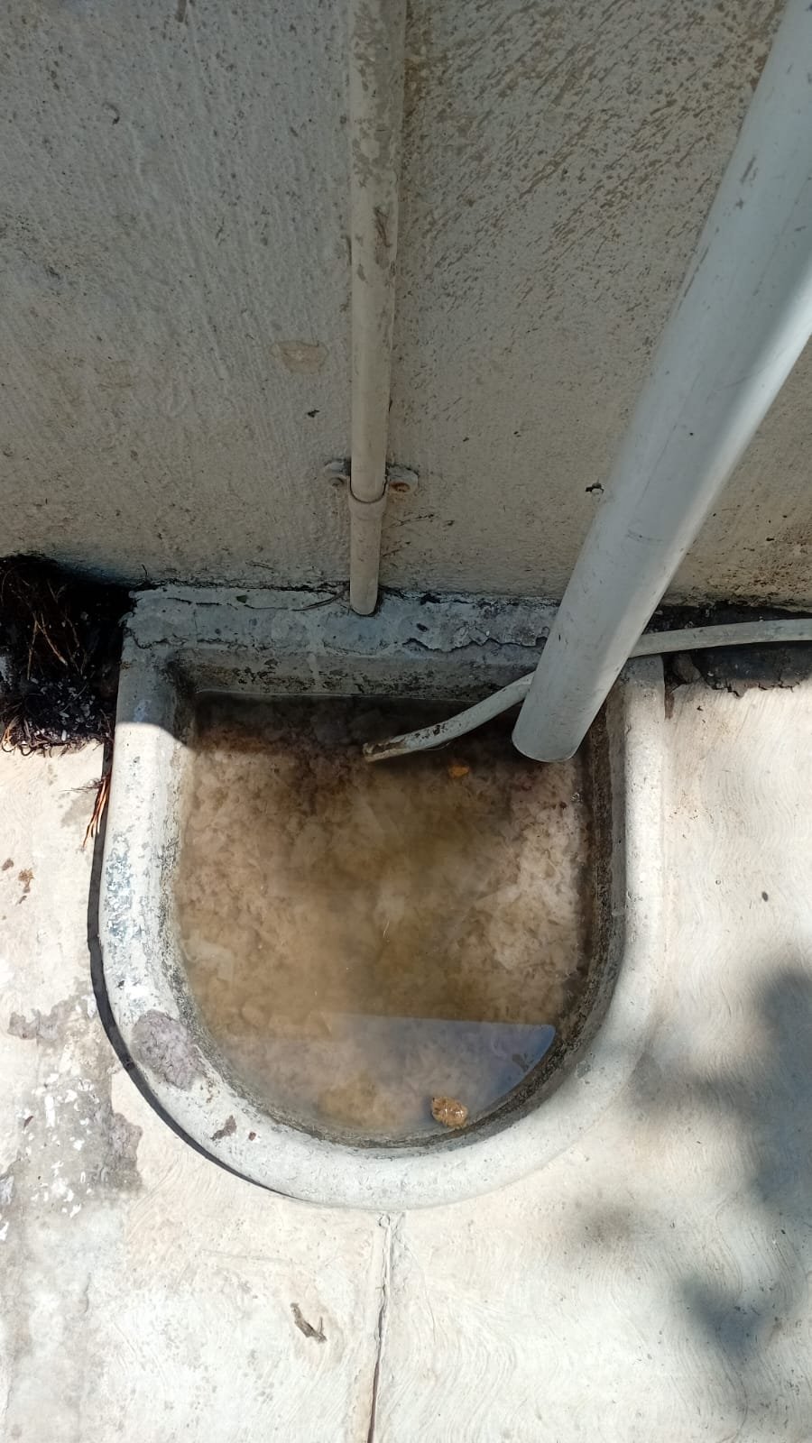 Plumber Fountain Brook Estate service photo