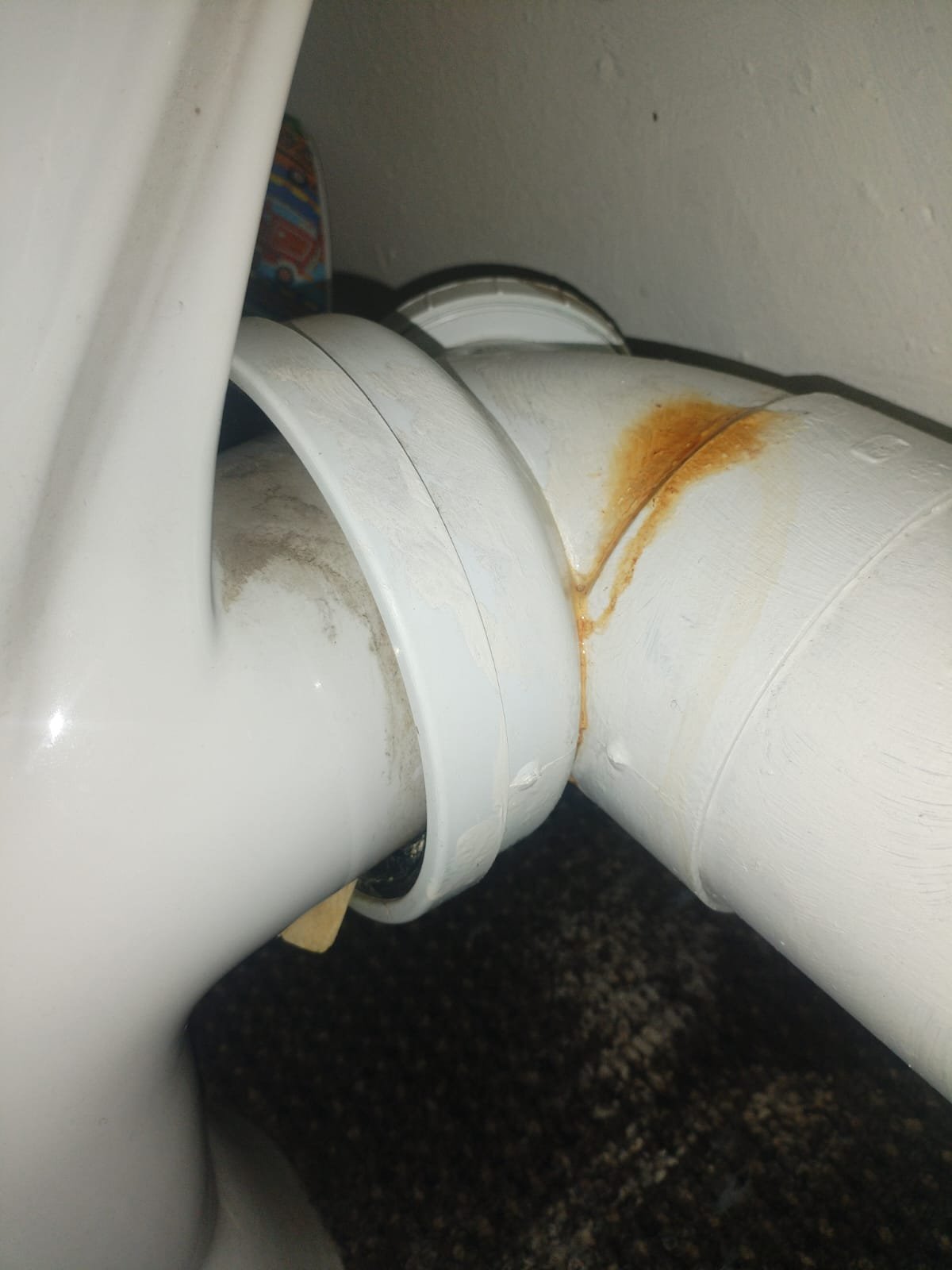 Plumber Irene Farm Villages service photo